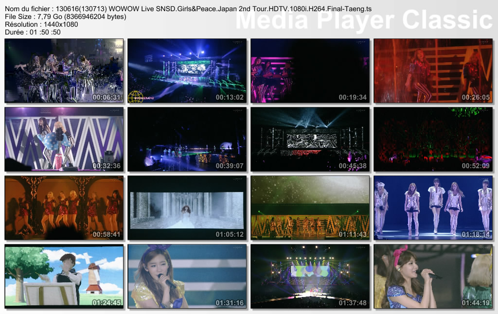 Download Wowow Live Snsd Girls Peace Japan 2nd Tour Hdtv 1080i By Final Taeng Heartbreakn S World